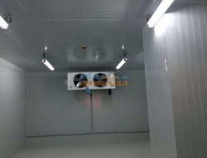 南寧醫(yī)藥冷庫 大量供應品質(zhì)可靠的冷庫 廣西南寧市弘雪制冷設備