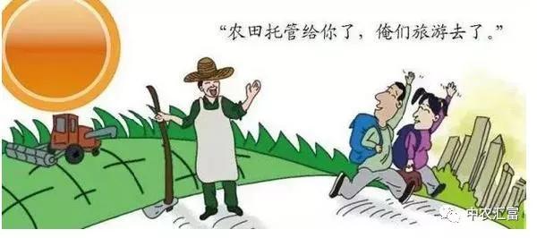 農村土地托管合作社實操指南與收益解析